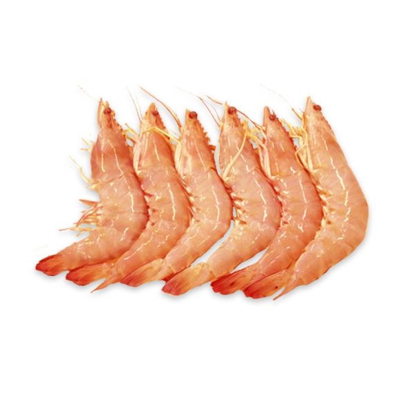 فروش عمده میگو